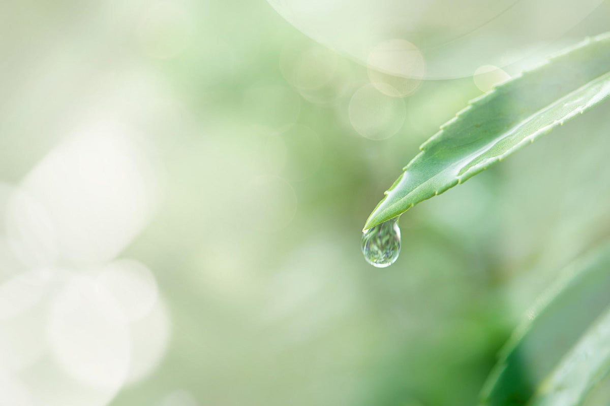 不含刺激性成分